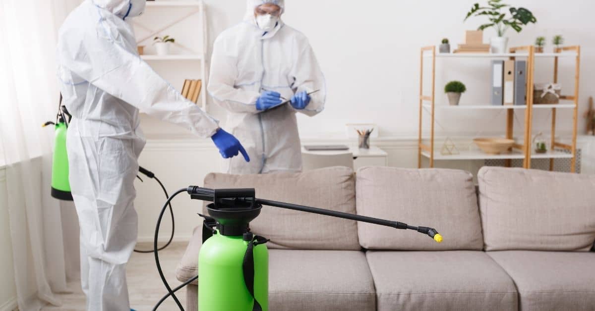 شركة تنظيف بالخرج