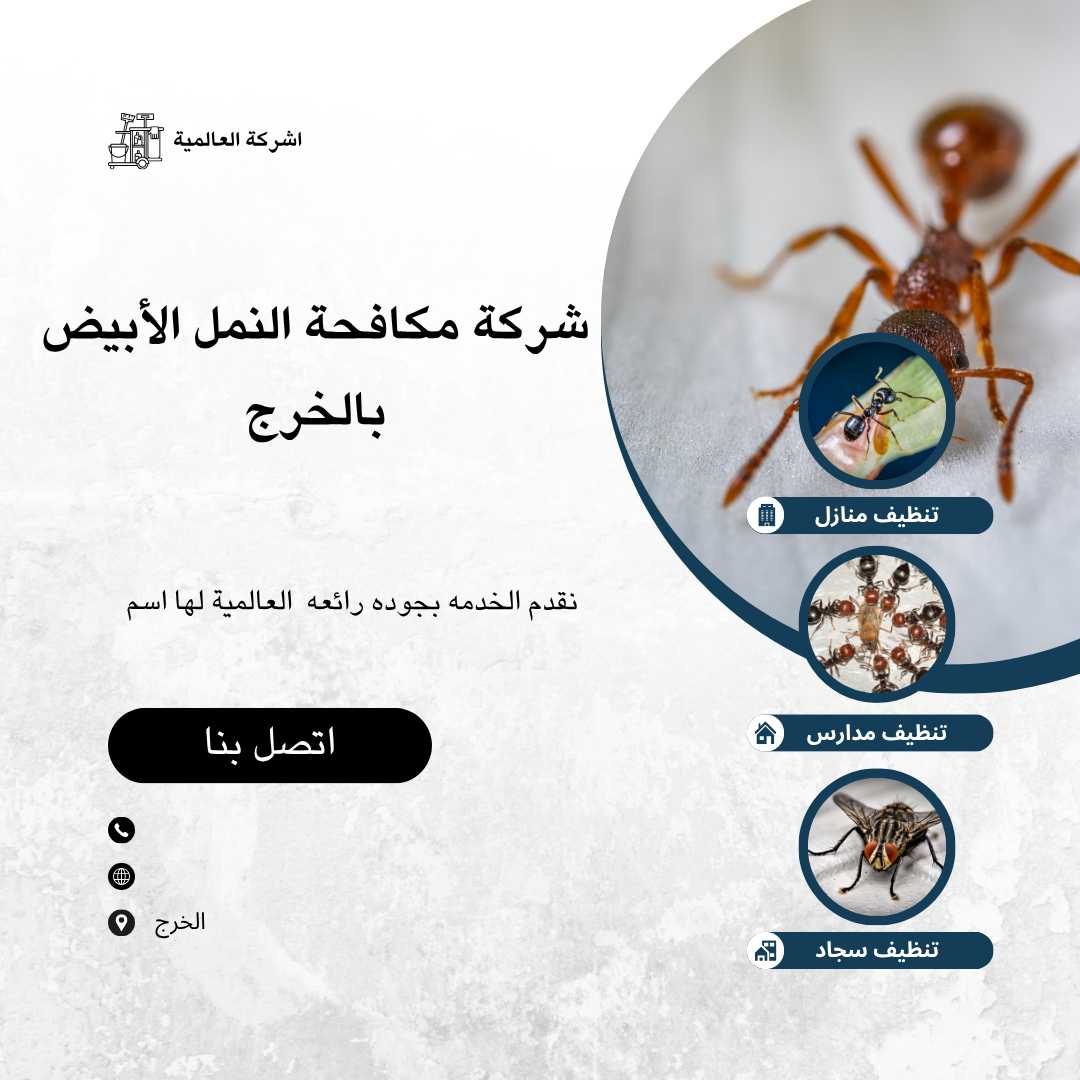 شركة مكافحة النمل الأبيض بالخرج 0552557868