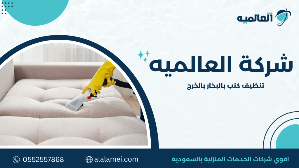 أنواع البقع التي يمكن إزالتها بالبخار