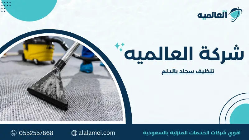 تنظيف سجاد بالدلم