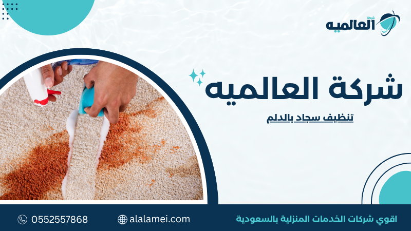 تنظيف سجاد بالدلم