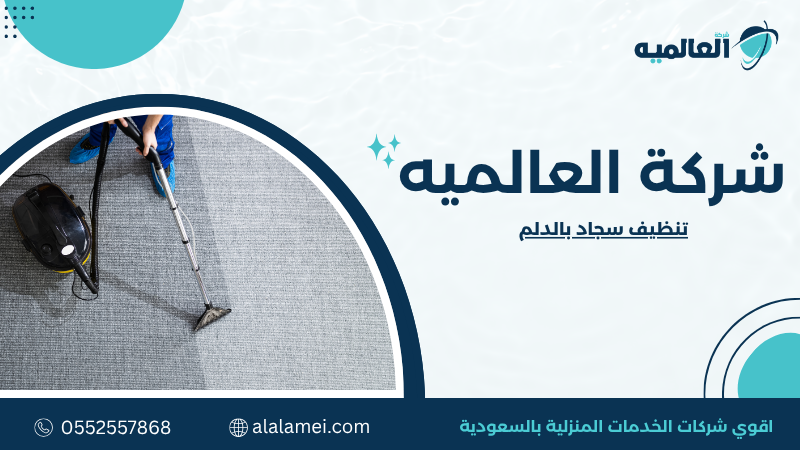 تنظيف سجاد بالدلم